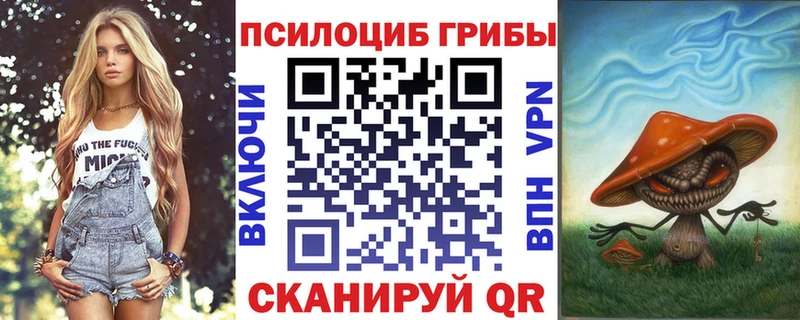 где купить Никольское Галлюциногенные грибы Magic Shrooms